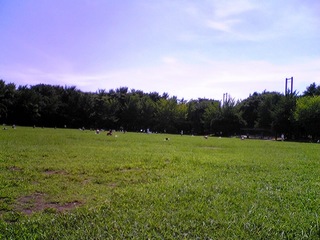 100719_134044.jpg