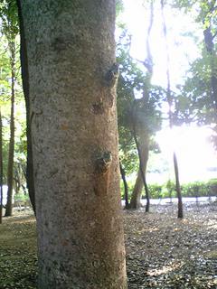 100824_163827.jpg