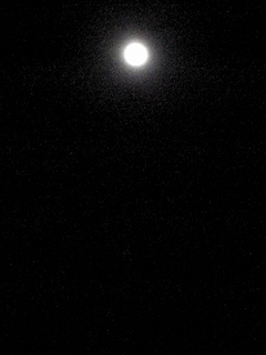 100824_212039.jpg